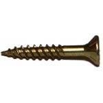 Vruty RAPI-TEC 2010 4,5x30mm zápustná hlava TX20 galvanický zinek – Hledejceny.cz