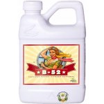 Advanced Nutrients B-52 250 ml – Sleviste.cz