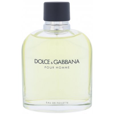 Dolce & Gabbana toaletní voda pánská 200 ml – Hledejceny.cz