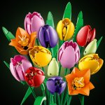 LEGO® Botanicals 11501 Kytice tulipánů – Zboží Dáma