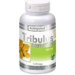 Kompava Tribulus Terrestris 120 kapslí – Sleviste.cz