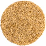 Nutsman Lněné semínko zlaté 1 kg – Zboží Mobilmania