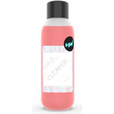 Estelli Cleaner So Shiny! odstraňovač výpotku 500 ml – Hledejceny.cz