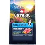 Ontario Puppy & Junior All Breeds Monoprotein Tuna & Sweet Potatoes 0,75 kg – Hledejceny.cz