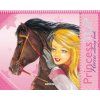 Kniha Princess TOP Horses coloring book Kniha