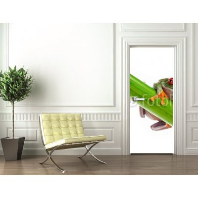 WEBLUX 45099482 Samolepka na dveře fólie Green Frog with red eye. Zelená žába s červeným okem. rozměry 90 x 220 cm – Zbozi.Blesk.cz