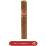 Partagas Shorts – Zboží Dáma Partagas Shorts – Zboží Dáma