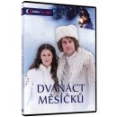 Dvanáct měsíčků DVD