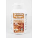Naturegreen Cordyceps 120 tablet – Hledejceny.cz