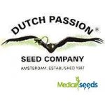 Dutch Passion CBD Mazar semena neobsahují THC 3 ks – Sleviste.cz