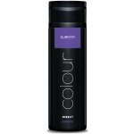Subrina Direct Colour Purple Gelová barva na vlasy fialová 200 ml – Sleviste.cz