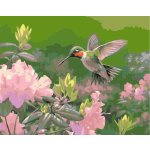 Titanum Malování podle čísel na plátno KOLIBŘÍK 40 x 50 cm – Sleviste.cz