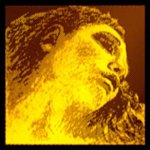 Pirastro EVAH PIRAZZI GOLD 415091 – Zboží Dáma