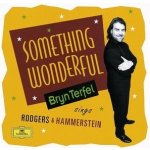 Bryn Terfel - BRYN TERFEL Something Wonderful CD – Hledejceny.cz