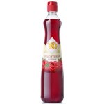 YO Malina sirup 0,7 l – Zbozi.Blesk.cz