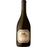 El Enemigo Syrah Viognier 2022 Červené 13,5% 0,75 l (holá láhev) – Hledejceny.cz