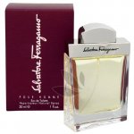 Salvatore Ferragamo Pour Homme toaletní voda pánská 100 ml – Hledejceny.cz