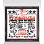 ERNIE BALL 2312 – Zboží Mobilmania