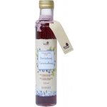 Naturprodukt Domácí sirup Borůvkový 0,5 l – Zboží Mobilmania