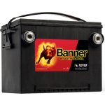 Banner Starting Bull 12V 60Ah 675A 560 10