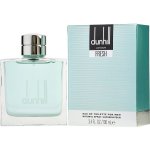 Dunhill Fresh toaletní voda pánská 100 ml – Hledejceny.cz