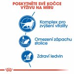Royal Canin Indoor 7+ 1,5 kg – Hledejceny.cz
