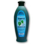 Herbavera šampon březový 550 ml – Sleviste.cz