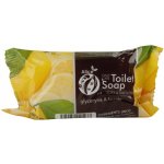 Alice toaletní mýdlo glycerin & lemon 100 g – Zboží Dáma