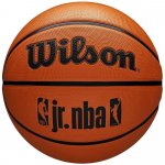 Wilson Jr NBA Fam Logo – Zboží Dáma