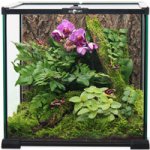 Repti Planet Natur skleněné 20 x 20 x 20 cm – Sleviste.cz