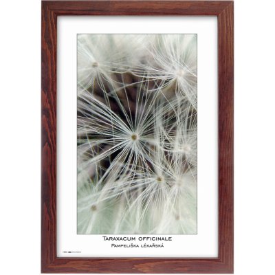 Tradag Rámeček Natura hnědý 20x30 – Zbozi.Blesk.cz