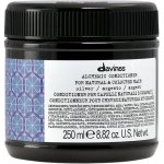 Davines Alchemic Conditioner Silver 250 ml – Hledejceny.cz