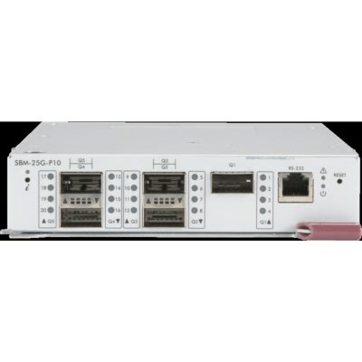 Supermicro SBM-25G-P10