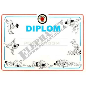 Diplom judo D27