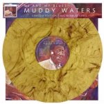 Me & My Blues - Muddy Waters LP – Hledejceny.cz