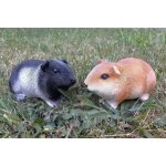 Morče – Zboží Dáma