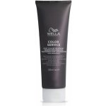 Wella Service Post Color Treatment 250 ml – Hledejceny.cz