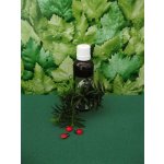 Gotu Kola Brahmí 50 ml – Hledejceny.cz