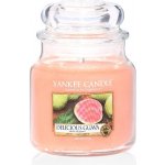 Yankee Candle Delicious Guava 12 x 9,8 g – Zbozi.Blesk.cz