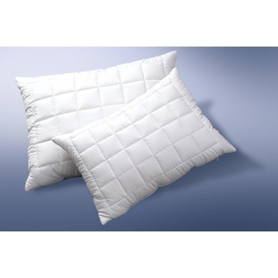 Ložnice21. Vyvařovací polštář Clinisan 70x90 zip+vak 1200 g – Zboží Dáma
