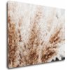 Obraz Impresi Obraz Suchá tráva skandinávský styl - 90 x 70 cm