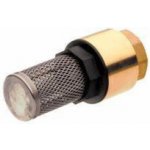 Zpětný ventil MT 4117015, 1", vnitřní závit, s filtrem | Zboží Auto