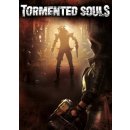 Hra na PC Tormented Souls