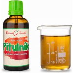 Bylinné kapky Duše rostlin Pitulník (tinktura) 50 ml – Hledejceny.cz