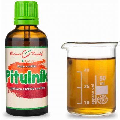 Bylinné kapky Duše rostlin Pitulník (tinktura) 50 ml – Hledejceny.cz