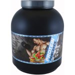 Titanus Protein Pankcakes 2000 g – Zboží Mobilmania