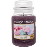 Yankee Candle Berry Mochi 623 g – Hledejceny.cz