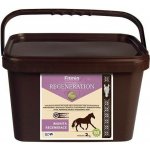 Fitmin Regeneration 2 kg – Hledejceny.cz
