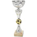 2172 Pohár stříbrný fotbal – Hledejceny.cz