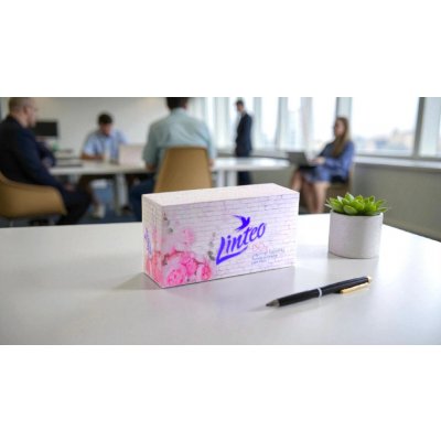 Linteo papírové kapesníčky 2-vrstvé 150 ks – Zboží Dáma